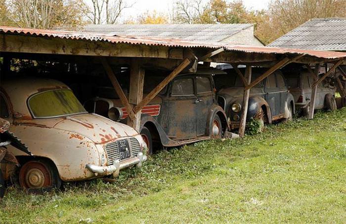 A Hidden Treasure Found On a Family Owned Farm Worth Millions!