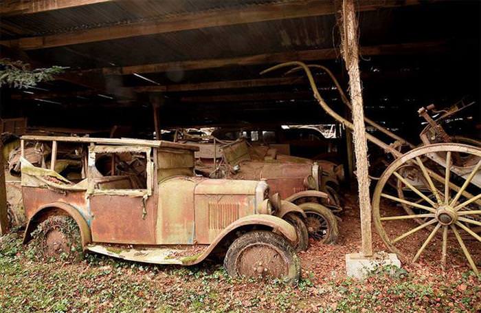 A Hidden Treasure Found On a Family Owned Farm Worth Millions!