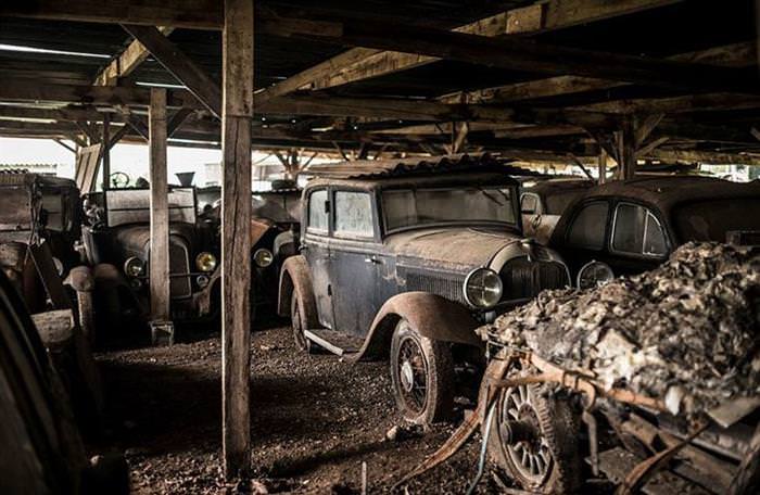 A Hidden Treasure Found On a Family Owned Farm Worth Millions!