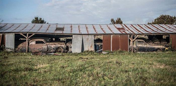 A Hidden Treasure Found On a Family Owned Farm Worth Millions!