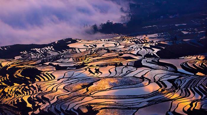 20 Abstract Paintings That Are Actually Rice Fields!