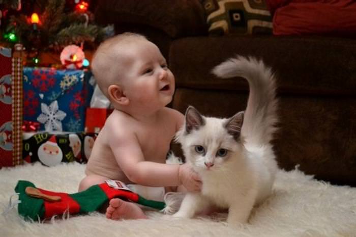 25 Cute Animals Bonding with Kids