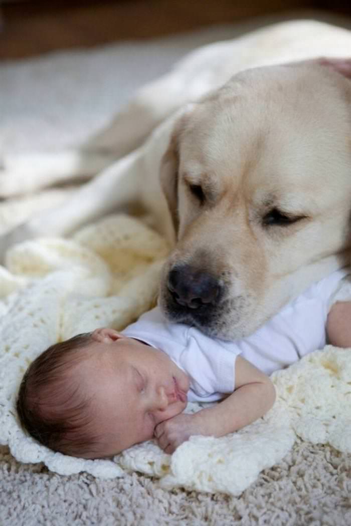 25 Cute Animals Bonding with Kids