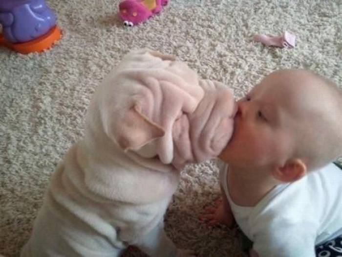 25 Cute Animals Bonding with Kids