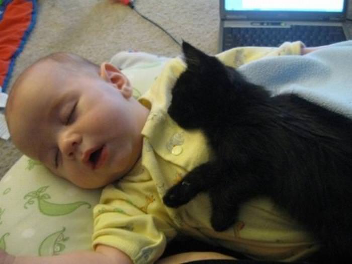 25 Cute Animals Bonding with Kids