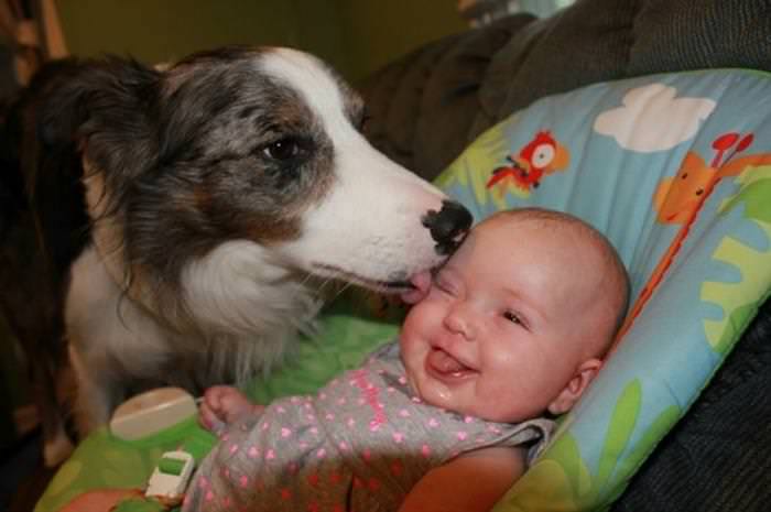 25 Cute Animals Bonding with Kids