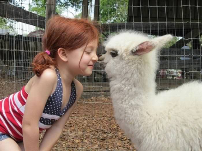 25 Cute Animals Bonding with Kids