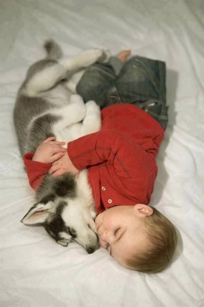 25 Cute Animals Bonding with Kids