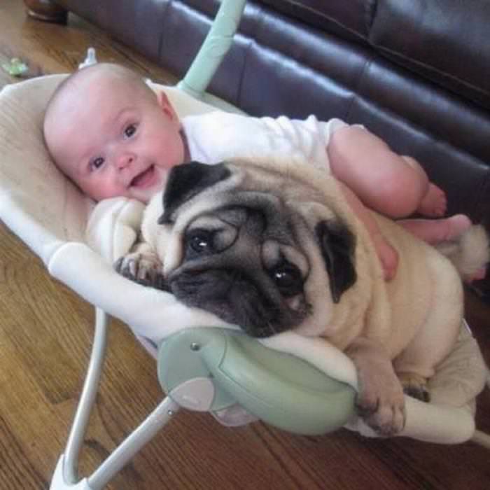 25 Cute Animals Bonding with Kids