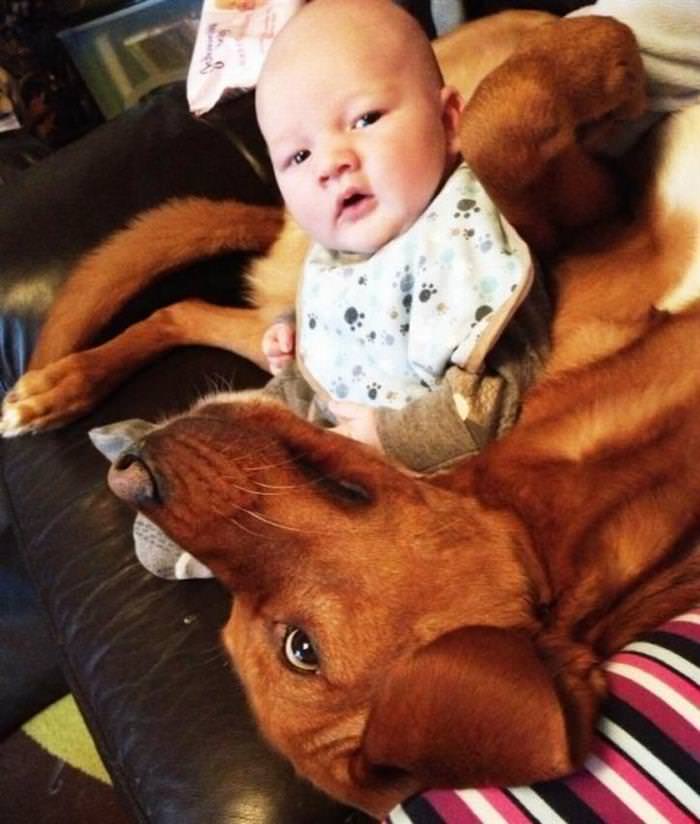 25 Cute Animals Bonding with Kids