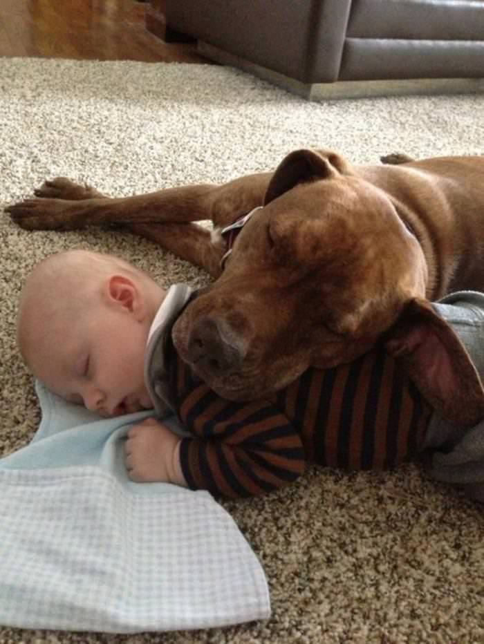 25 Cute Animals Bonding with Kids