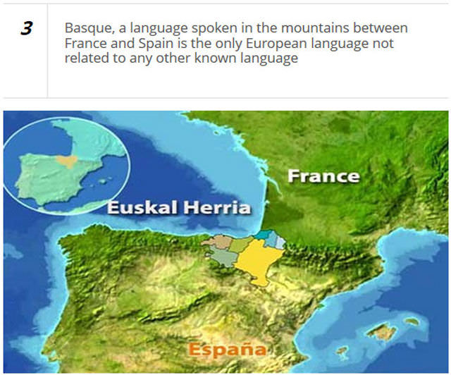 language facts