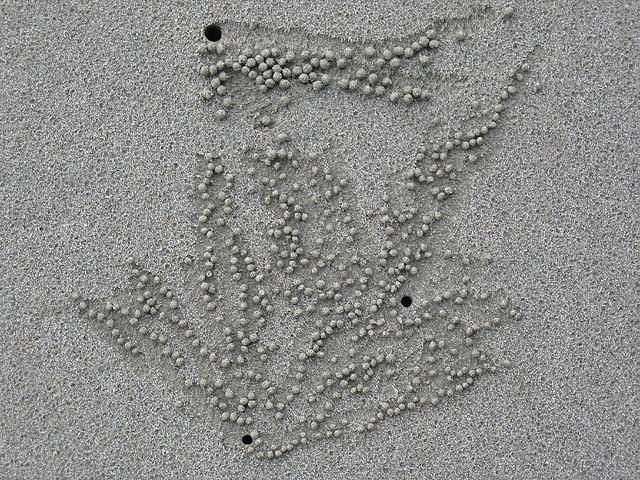 hermit crab sand balls