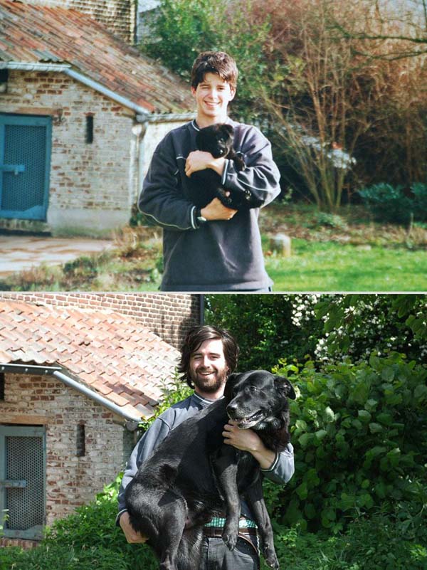 before and after pet photos