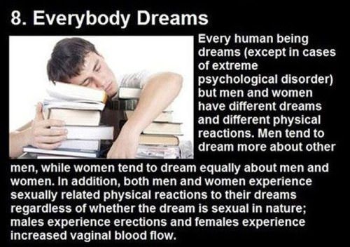 dream facts