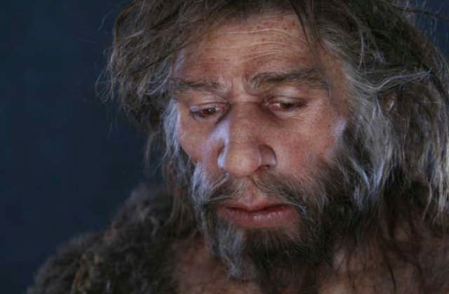 humanoid reconstructions - Homo Neanderthalensis old male 