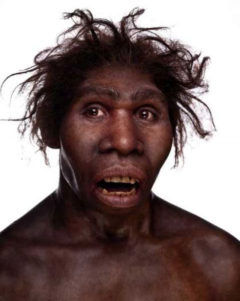humanoid reconstructions -Homo ergaster  black male adult
