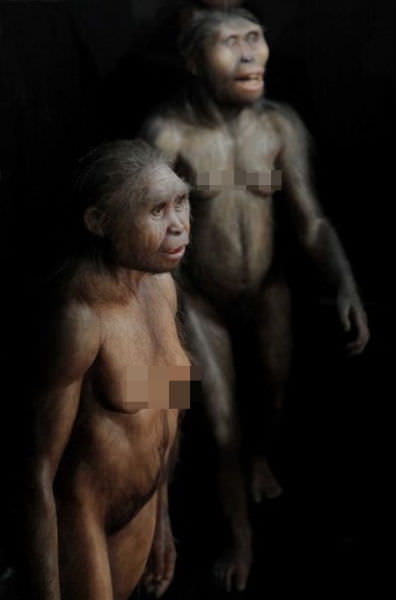 humanoid reconstructions - Homo Floresiensis