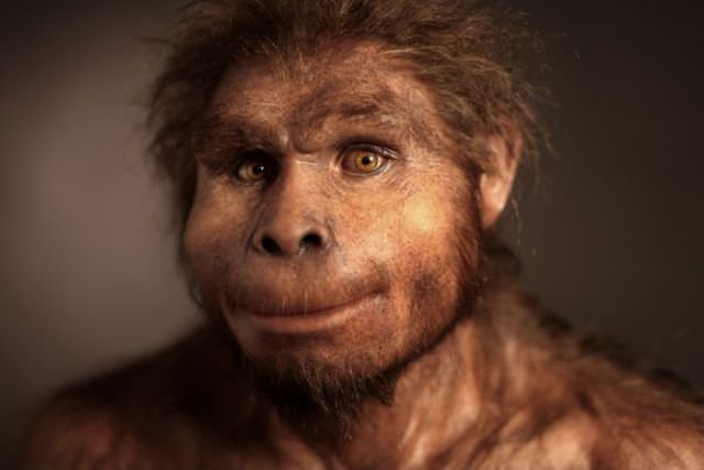 humanoid reconstructions - Homo Erectus The Upright Man smiling