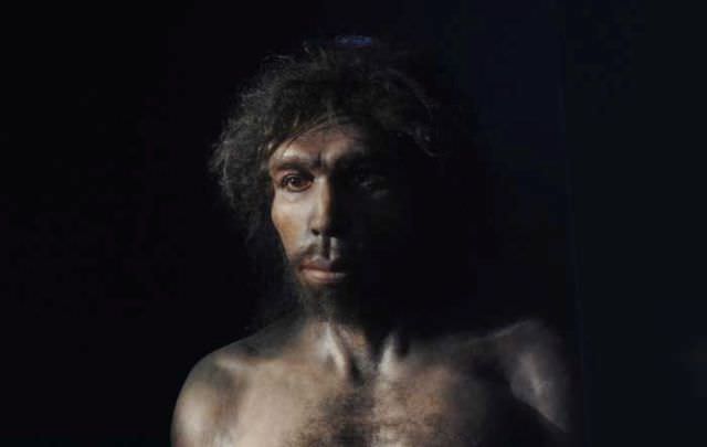 humanoid reconstructions - Homo Rhodesiensis - Also known as the Rhodesian man.