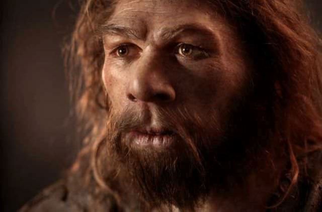 humanoid reconstructions - Homo Neanderthalensis male adult