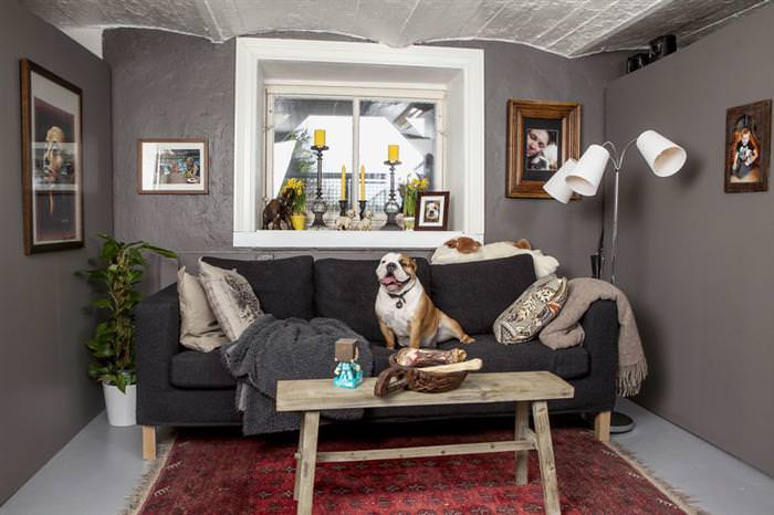 bulldog special kennel