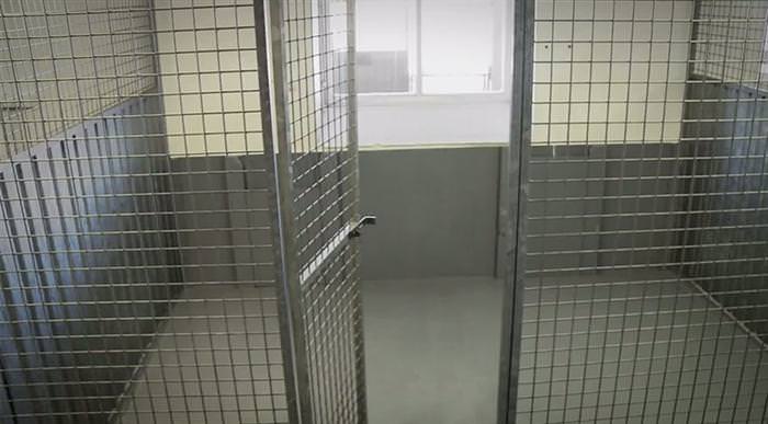 bulldog special kennel