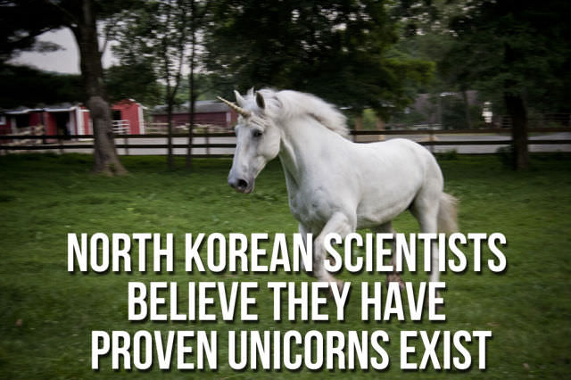 North korea facts