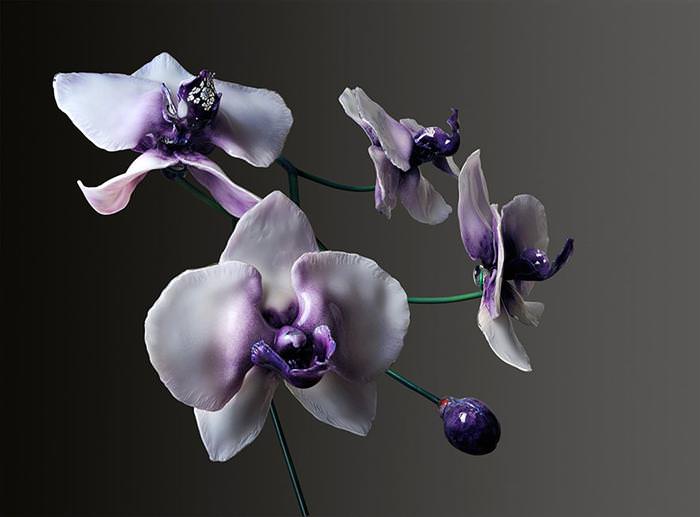 giant glass orchids by Jason Garmrath