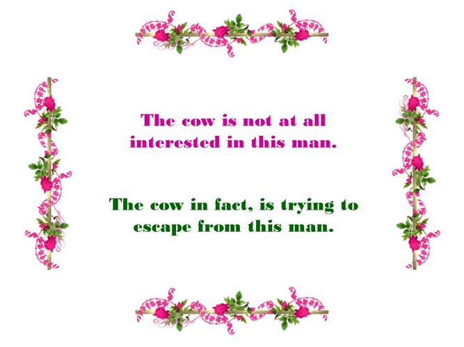 the priest and the cow our mind