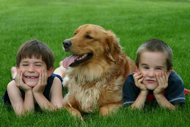 dogs and children