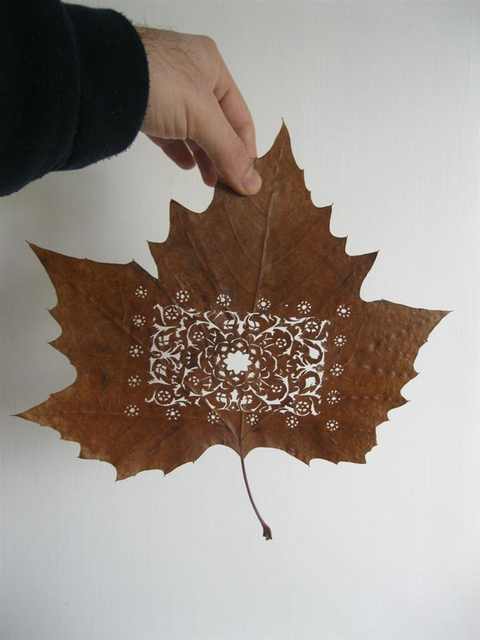 Ever Heard of Leaf-Sculptures?