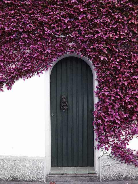beautiful doors
