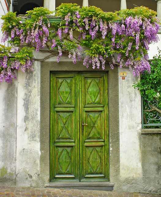 beautiful doors