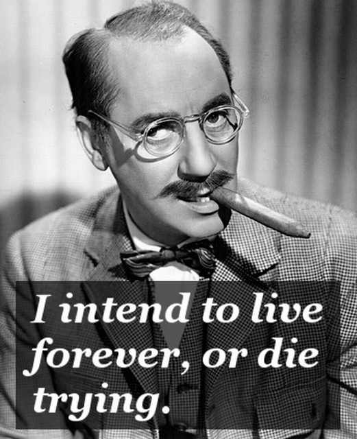 10 superb quotes by the master of wit groucho marx | funny