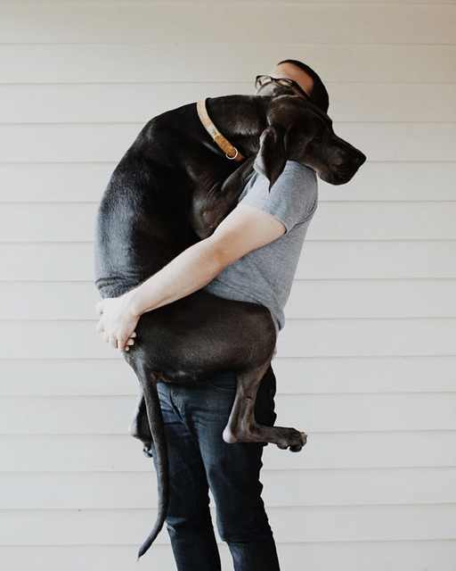 dog hugs