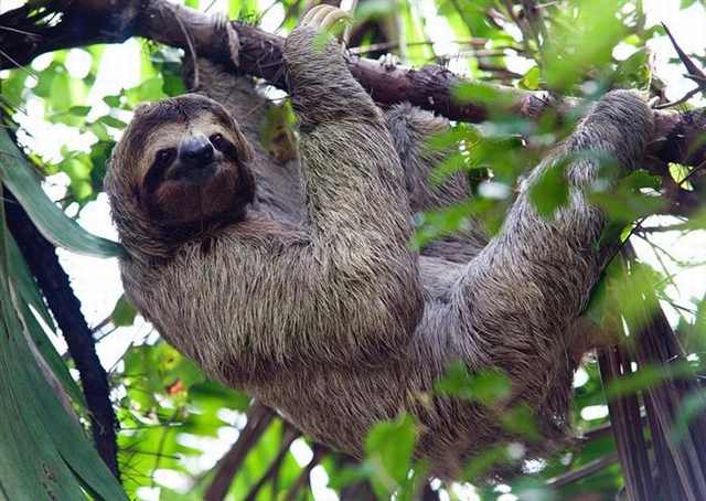 Top 10 Reasons to Visit Costa Rica