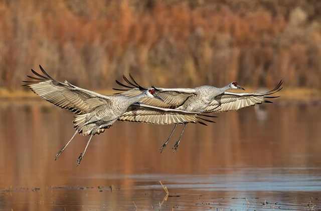 Wilderness beautiful photos