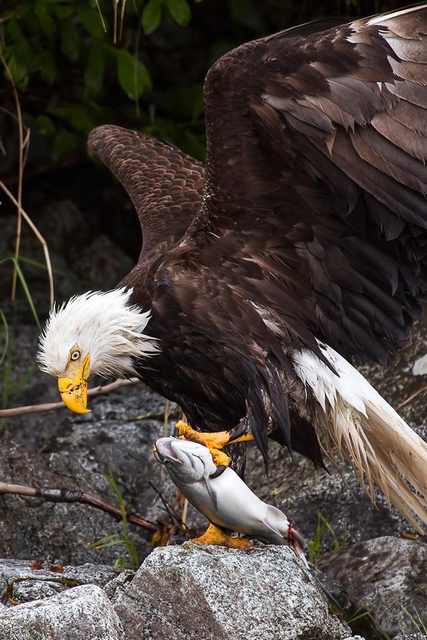 Wilderness beautiful photos