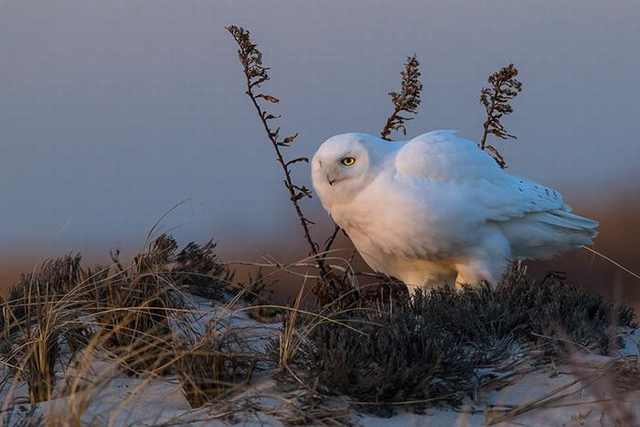 Wilderness beautiful photos