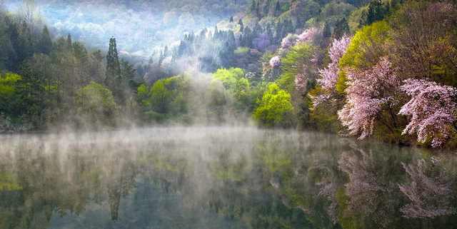 See How Fog Makes These Places Magical