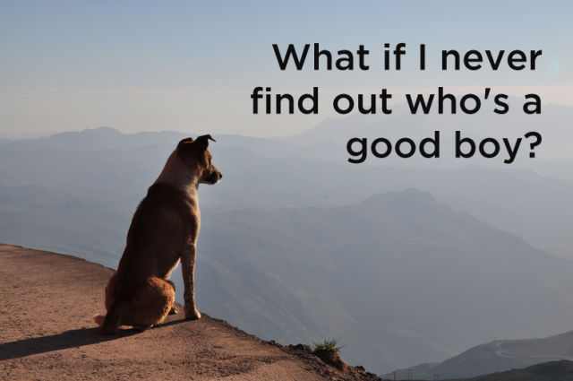 dog thoughts funny