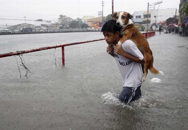 When people help the helpless animals