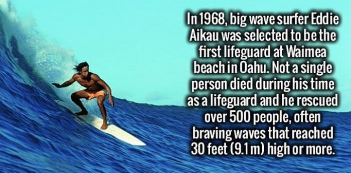 20 Interesting Facts that May Surprise You