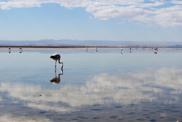 Have You Seen the Incredible Landscapes of the Driest Place on Earth?