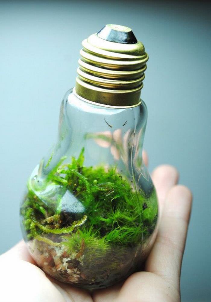 Light Bulb Recycling Ideas
