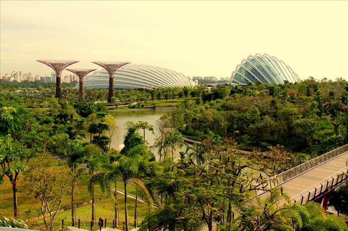 Architects In the 21st Century: Gardens by the Bay, Marina Bay, Singapore 
