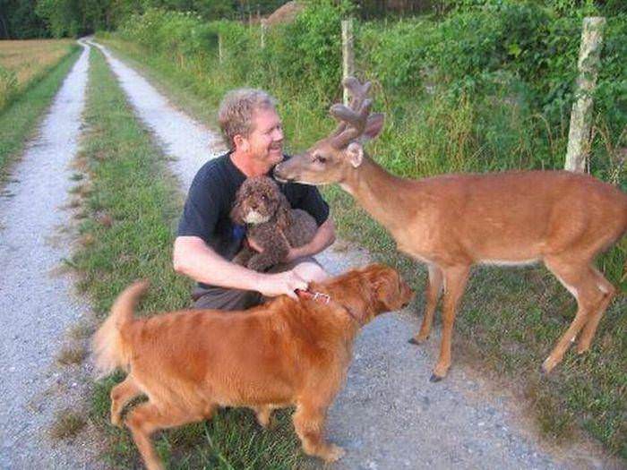 Animals love