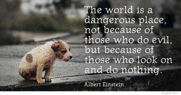 Quotes by Albert Einstein - The world is a dangerous place, not because of those who do evil, but because of those who look on and do nothing.