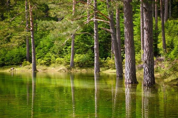 Green Lake Austria